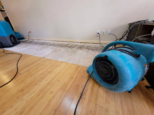 Professional Flood Damage Cleanup technician working in New Cumberland, WV